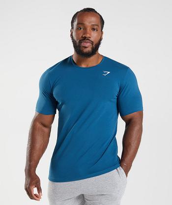 Gymshark Essential Muške T Shirts Plave | HR 2495FDN